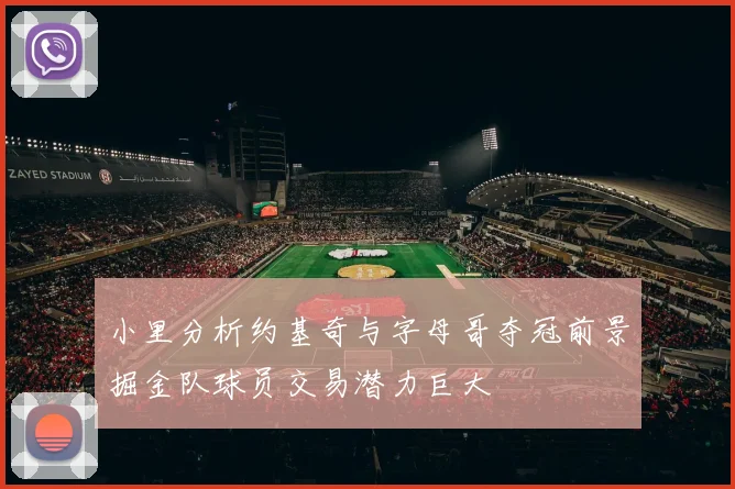 小里分析约基奇与字母哥夺冠前景掘金队球员交易潜力巨大
